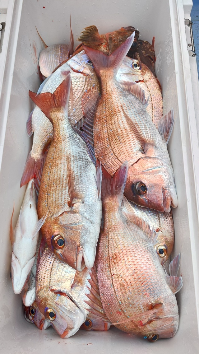 釣果