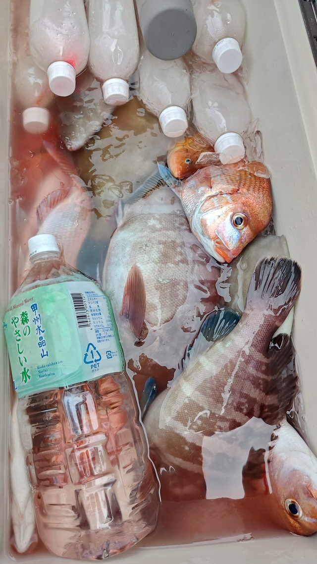 釣果