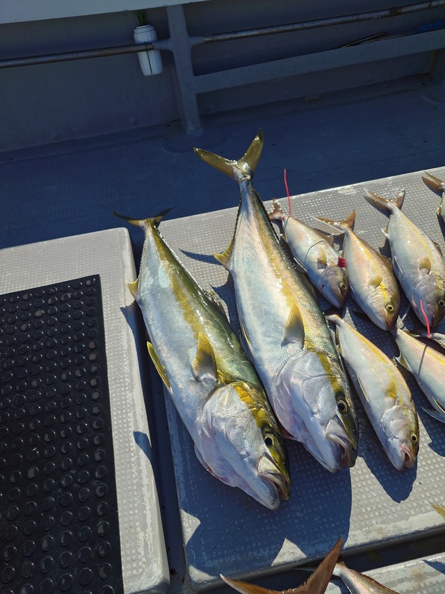 釣果