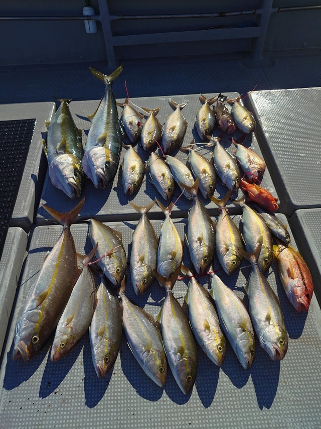 釣果
