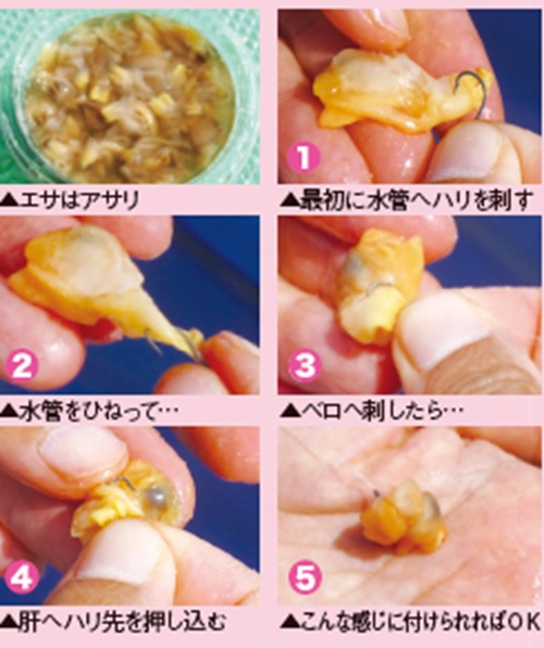 エサの付け方の写真