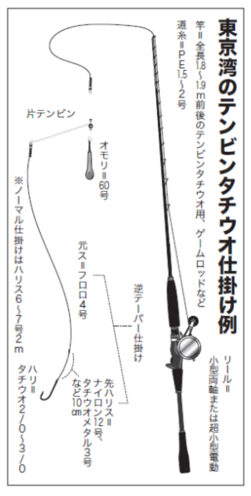 東京湾のテンビンタチウオ仕掛け例