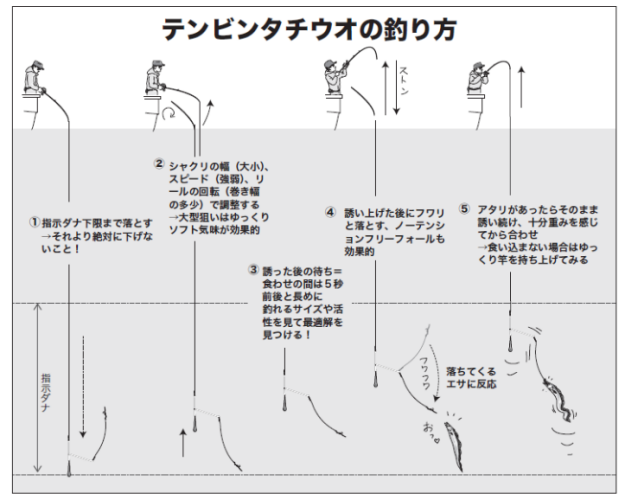 テンビンタチウオの釣り方