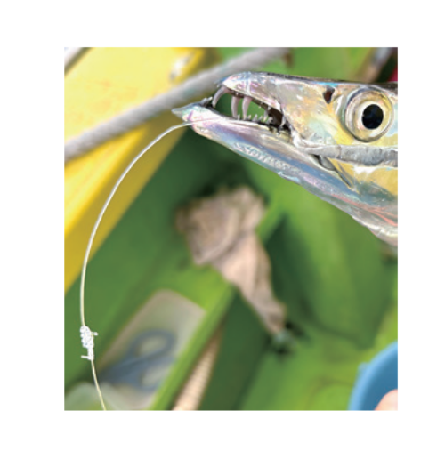 釣行の写真