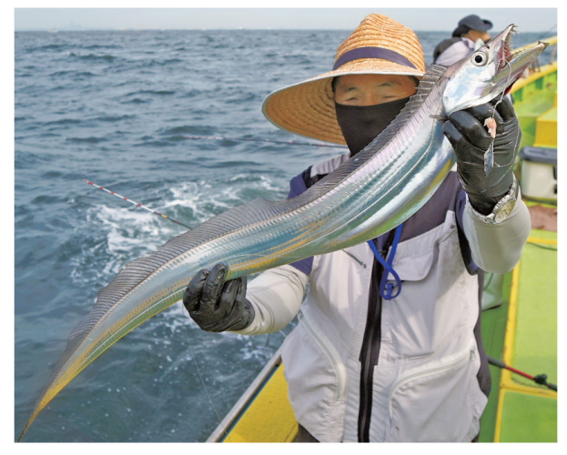 釣行の写真