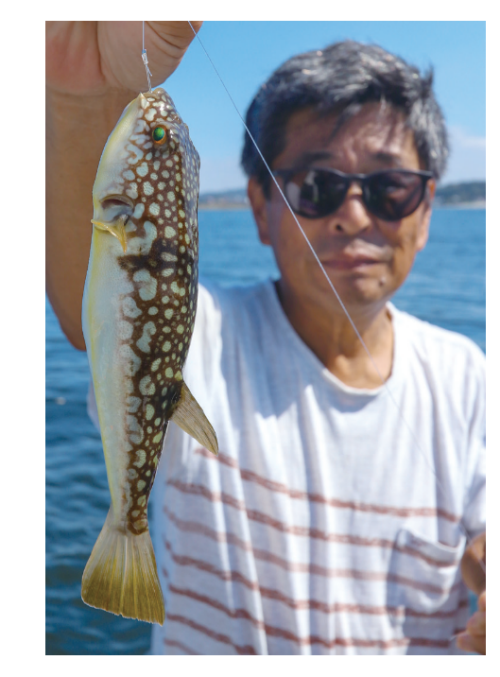 釣行の写真