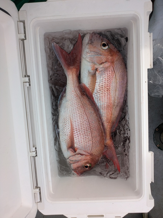 釣果