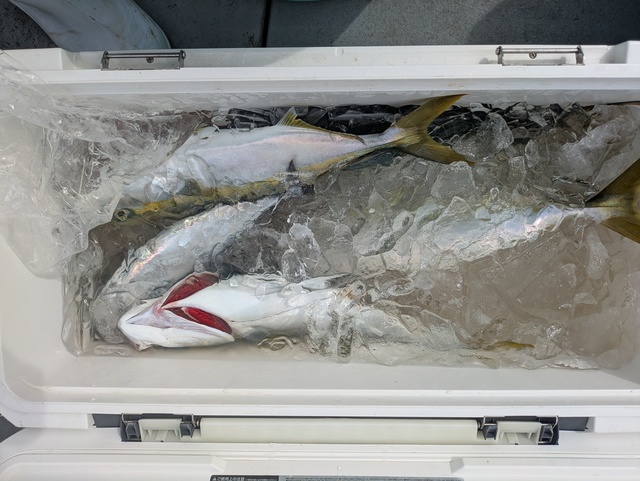 釣果