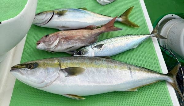 釣果