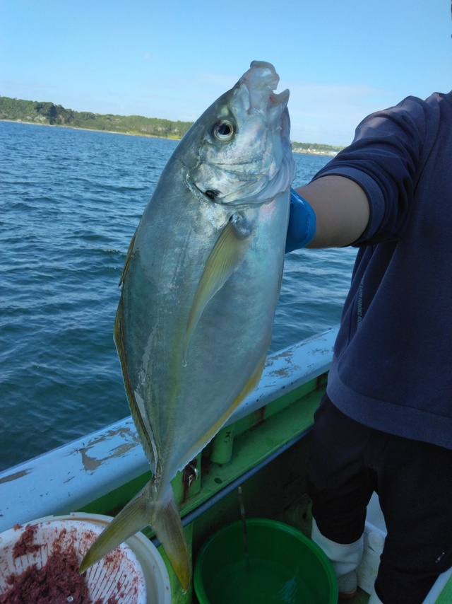 釣果