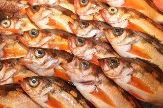 釣った魚を一夜干しにしよう お刺身や煮付けに少し飽きた時にオススメです