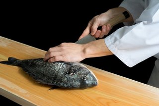 コブダイの特徴を大特集 コブだけじゃない驚きの生態とは