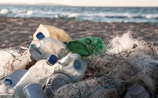 50年には海にいる魚よりプラスチックのゴミの方が多くなる 人気モデル ローラさんのsns投稿から海の環境問題について考えてみよう