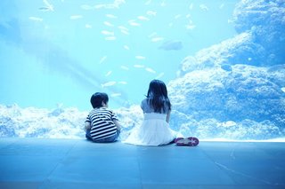外道が釣れた時 アナタはどうしますか クサフグだってキタマクラだって生きています 外道が釣れた時 アナタはどうしますか クサフグだってキタマクラだって生きています
