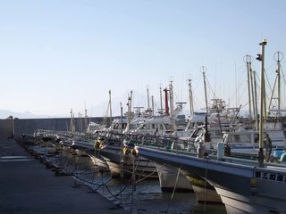 釣りの大敵 風の予想ができる 釣り人必見のワザを徹底解説