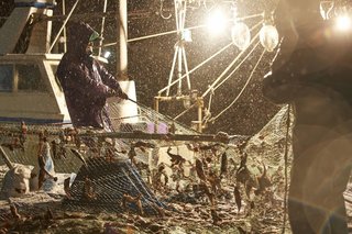 釣りの大敵 風の予想ができる 釣り人必見のワザを徹底解説