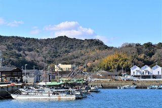 アコウダイ釣りに挑戦してみませんか 深海の王様の釣り方やおすすめの食べ方まで徹底解説します