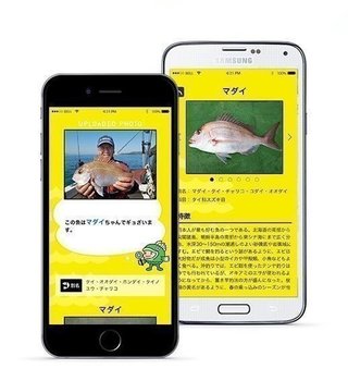 無料 魚図鑑aiアプリ フィッシュ アップデート情報 お刺身も判別が可能になったよ