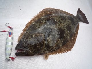 ヒラメの釣り方大公開 プレジャーボートから仕立船 どんな釣りでもヒラメが狙える 泳がせ釣りからバケ釣りまでプロが徹底解説します