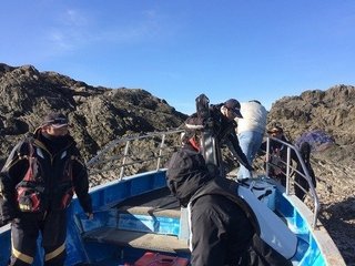 秋磯シーズン到来 これを知れば大丈夫 初心者必見 磯上がりの注意点と磯釣りのマナーを知ろう