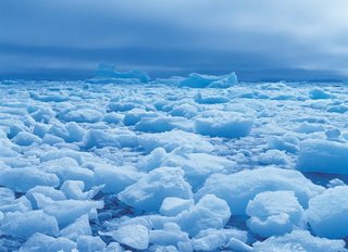 南極で魚釣りってできるの 氷床地帯ならではの釣り方を学んで 氷の世界に生きる貴重な魚たちに会いに行ってみませんか