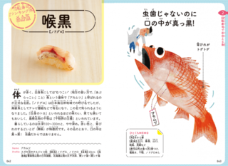 11月1日は寿司の日 回転寿司になれる魚図鑑 で魚の雑学や生体について学んでみませんか