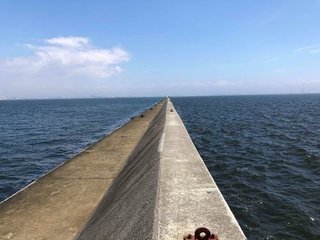 秋空の神戸七防で 魚体もきれいな良型クロダイを釣ろう タナやエサってどう変わる ポイントの探り方や釣法までプロ目線で徹底解説します