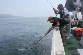 人気の泳がせ釣りでブリを釣ろう 青物に早合わせは禁物 匹敵タックルや仕掛け 釣法テクニックまでプロ目線で伝授