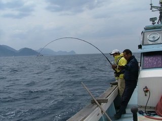 人気の泳がせ釣りでブリを釣ろう 青物に早合わせは禁物 匹敵タックルや仕掛け 釣法テクニックまでプロ目線で伝授
