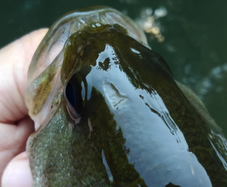 フックは鋭利でとても危険であることを認識しよう バスに付いている傷からどんなことが分かるのか考えてみよう