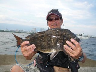 クロダイ落とし込み釣りの実力者に学ぼう 経験だけでなく センスと感を磨く 確実に釣り上げる名手は一体何が違うのか 一流の心得を伝授します