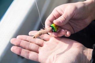 サツマイモで魚が釣れる 釣りエサは魚介や虫だけじゃなかった いろんな種類のエサを試して 釣りをもっと楽しもう