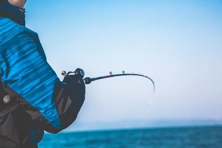 フグの食わせ釣りはカワハギ釣りとよく似ている 誘いを頻繁に掛けて当たりを引き出すのがコツ