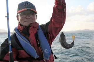 フグの食わせ釣りはカワハギ釣りとよく似ている 誘いを頻繁に掛けて当たりを引き出すのがコツ