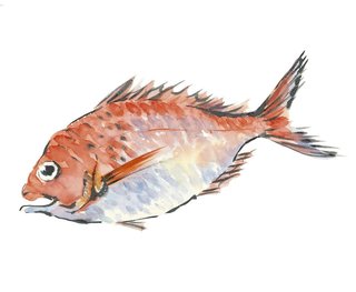 実は釣りに縁が深い！？釣り竿を担いでタイを片手に持つ七福神のえびす様の由来とは？！