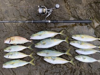 ライトショアジギングロッド特集 選び方とおすすめロッドを徹底解説