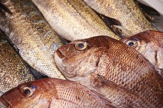 趣味の魚釣りが副業になる 釣った魚を売る方法を紹介