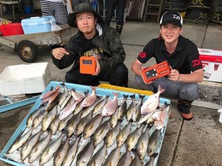 イサキの釣果写真
