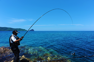 石鯛を釣りたい 初心者でも扱いやすい石鯛釣り用仕掛けやタックルをピックアップ