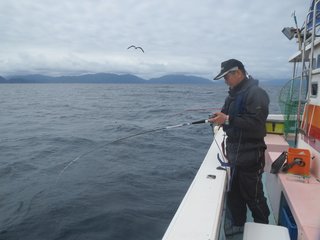 関西で人気の高級魚 アコウのスロージギングのタックルやノウハウやを徹底紹介