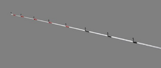 ティップ　写真