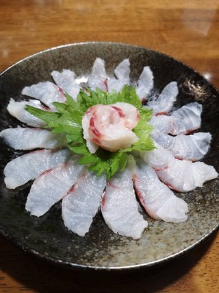 大雨でも大漁 シ メも釣れた伊良湖水道のイワシの泳がせ釣り釣行記