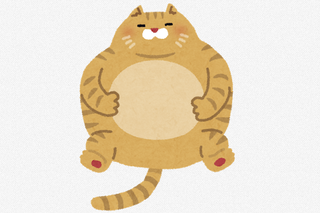 ネコマッチョの発売日が知りたい！2020年ダイワからリリースの高比重ワーム