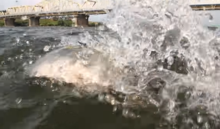 エクスセンス トライデント90s 115s Ar Cに21年追加カラーが3種類ラインナップ