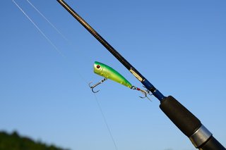 バス釣りをトップウォーターで楽しみたい！おすすめの時期やタックルを