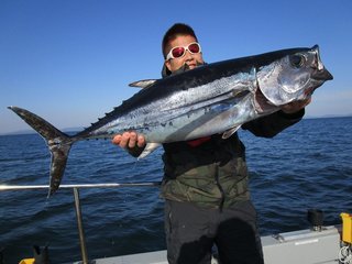 マグロってどんな魚 マグロの生態や幼魚 ヨコワの釣り方 美味しい食べ方レシピまで大公開