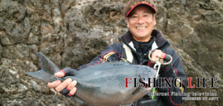 関西版 地上波釣り番組全紹介 6月8日 14日 釣りごろ つられごろ では 広島湾のヤグラ岩で激闘フカセ釣り 大鯛get