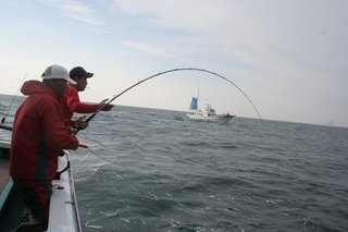 イナダを落とし込み釣りで狙おう ブリの若魚 イナダの釣り方やタックル 美味しい食べ方まで大公開