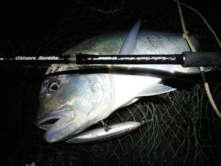 大人気のSSDシリーズで多様な魚が釣れるスーパーライトジギングを楽し