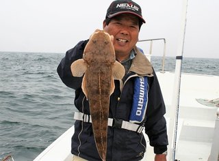 マゴチ釣りって超楽しい 釣り方別のオススメタックルや釣りのコツをご紹介します